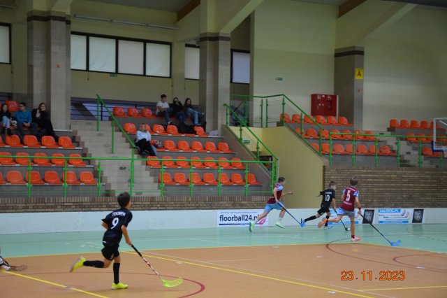 DSC_0011  kopia
